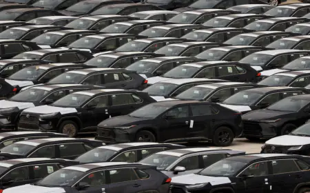 تخليص أكثر من 4 آلاف مركبة في يومين