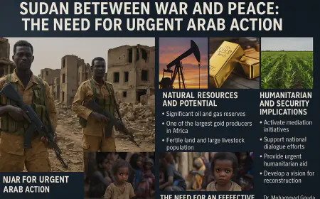 بقلم: الدكتور  محمد جودة.. السودان بين الحرب والسلام: الحاجة إلى تحرك عربي عاجل
