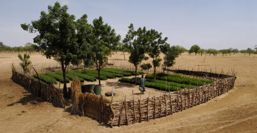 فرص تدريبية للنساء في 4 محافظات في الجنوب في مجال التكيف مع تغير المناخ