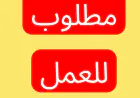 فرص وظيفية في وزارة الاستثمار.. ذكور وإناث