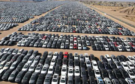 العيسى : 1896 مركبة في الحرة ستخضع لإعادة التصدير أو التخليص كقطع غيار