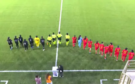 انتهت بنتيجة 35 هدفا.. أكبر انتصار في تاريخ دوري المحترفات (فيديو)