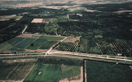 6 أعوام على استعادة الأردن لأراضي الباقورة والغمر