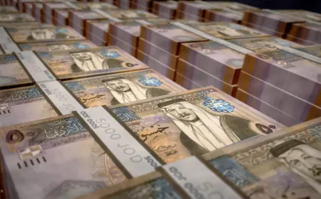 وزارة المالية: الحكومة ستسدد 7.3 مليارات دينار في العام المقبل