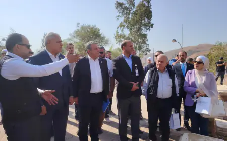 شمسٌ تطفو فوق الماء..  الأردن يختبر مستقبل الطاقة في سد الملك طلال