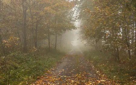 حالة الطقس في المملكة خلال الأيام المقبلة