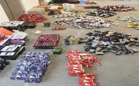(الجمارك) تضبط  150 ألف حبة من المنشطات الجنسية و918 قطعة من الألعاب النارية و70 صاعقا