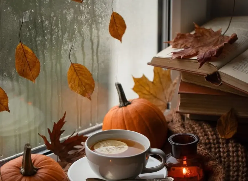 طقس خريفي لطيف وارتفاع تدريجي في درجات الحرارة حتى الجمعة