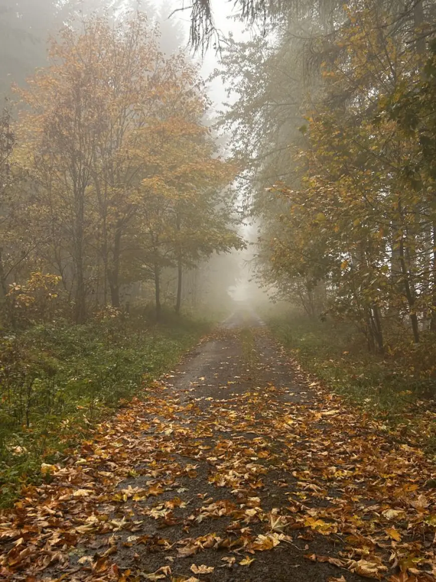 حالة الطقس في المملكة خلال الأيام المقبلة
