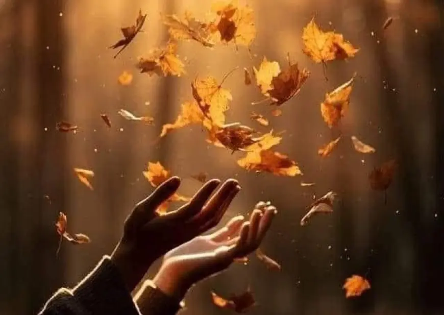 حالة الطقس في الأردن.. لأيام الأحد حتى الأربعاء