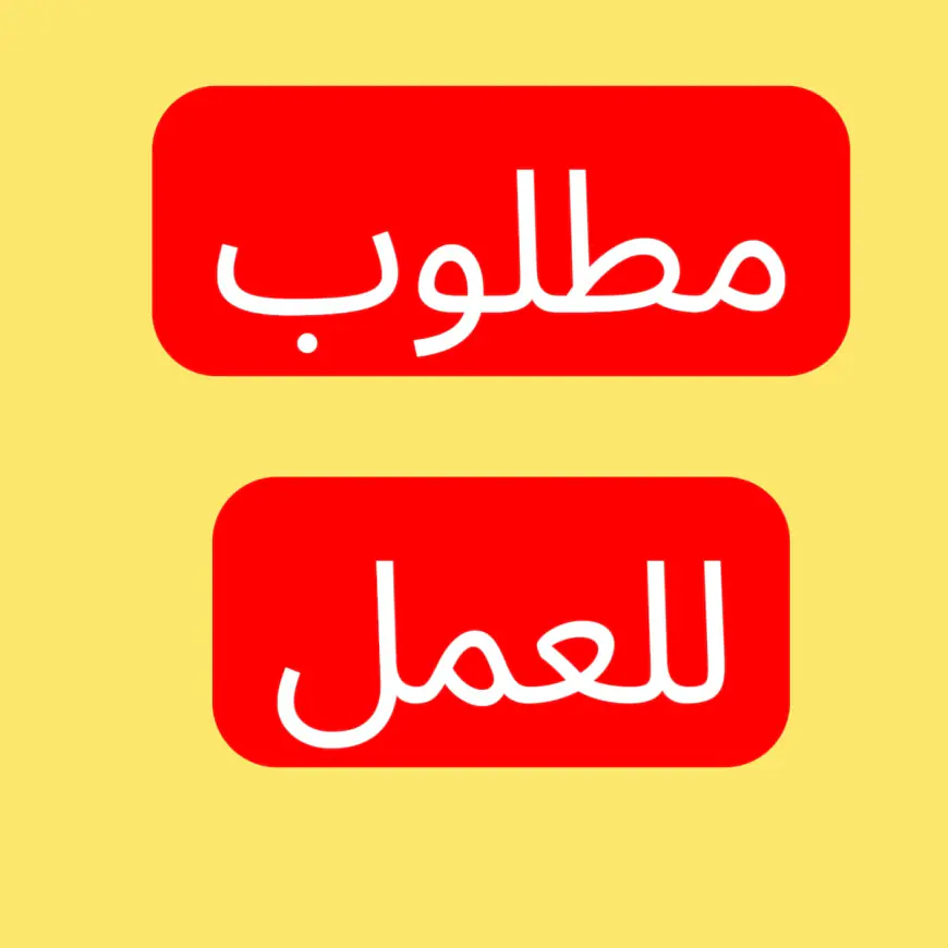 فرص وظيفية في وزارة الاستثمار.. ذكور وإناث