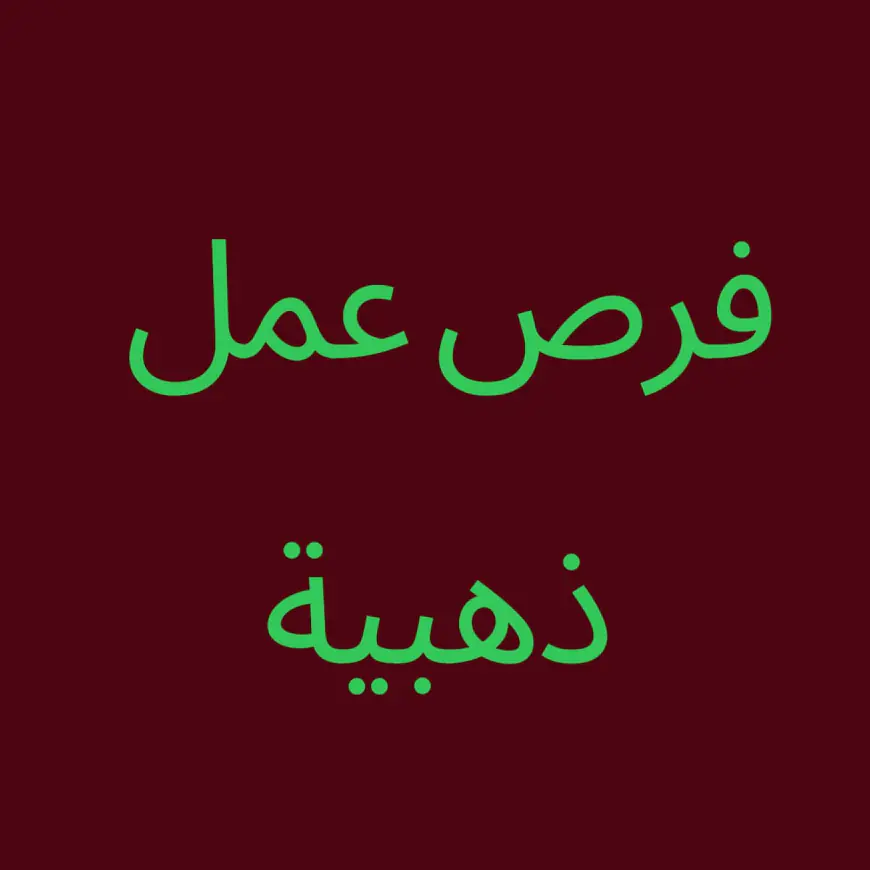 فرص عمل ذهبية في شركة تعهدات أردنية