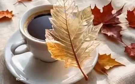 طقس الأردن.. أجواء لطيفة مع ارتفاع تدريجي في الحرارة