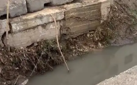 الفرجات يكتب: الحفرة التي سقطت فيها الفتاة.. أهمية منع الإهمال لمنع الكارثة قبل أن تقع