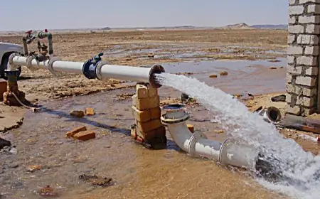 الرواشدة تكتب: (عكورة المياه) ما زالت تجعل شتاء عمان أصعب من صيفها في التزويد المائي