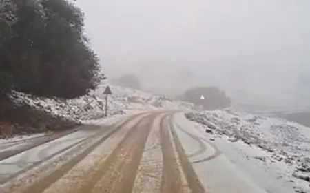 الشوبك والطفيلة تستقبلان زخات ثلجية مع المنخفض الجوي