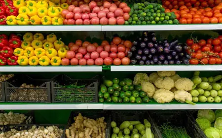 الزيتون واللوزيات والتفاحيات الأكثر استفادة من أمطار الموسم الغزيرة للموسم الإنتاجي المقبل