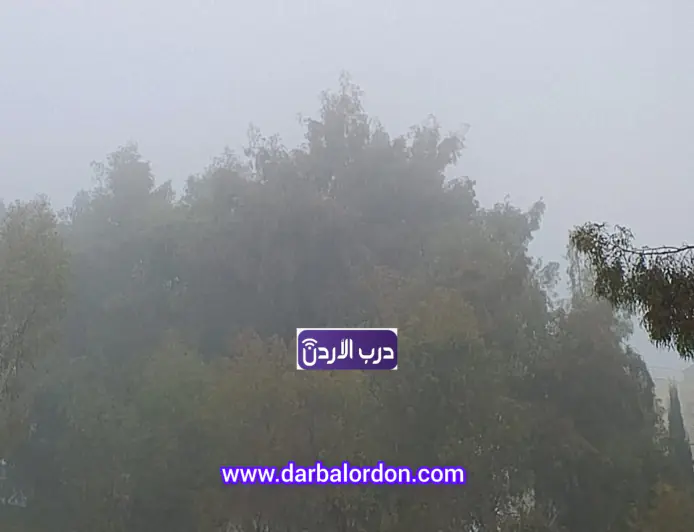 الأرصاد تحذر من الضباب والأمطار الخفيفة
