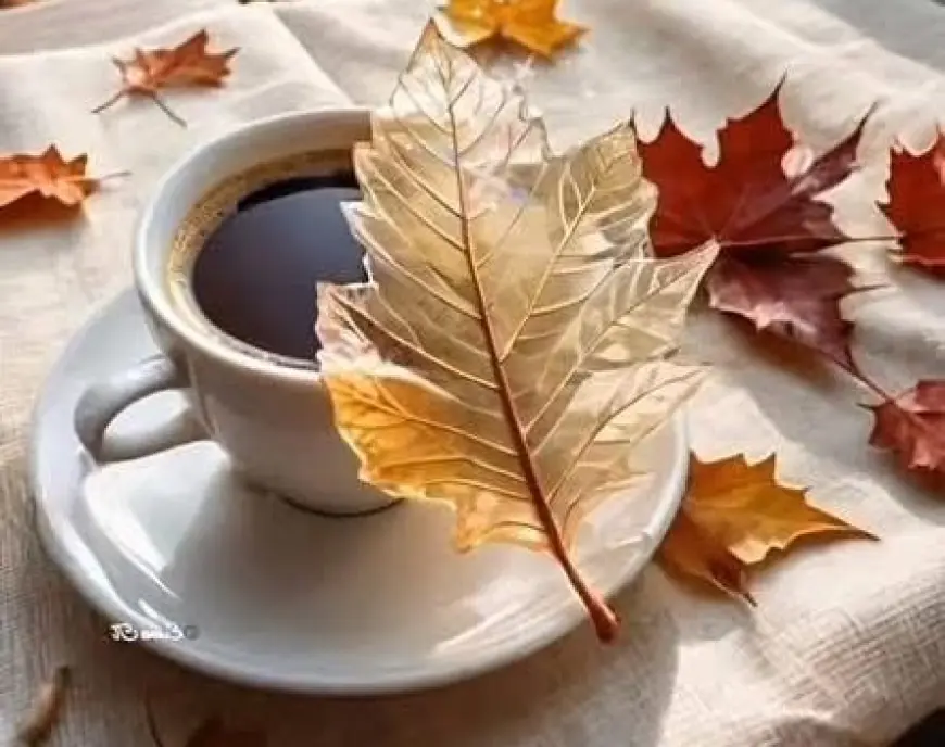 طقس الأردن.. أجواء لطيفة مع ارتفاع تدريجي في الحرارة