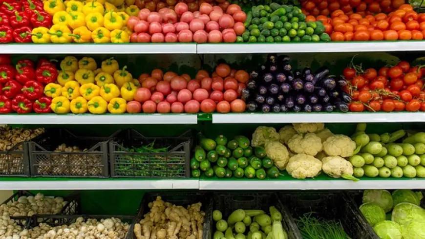 الزيتون واللوزيات والتفاحيات الأكثر استفادة من أمطار الموسم الغزيرة للموسم الإنتاجي المقبل