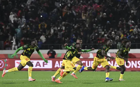 تونس تودع كأس الأمم الإفريقية أمام مالي