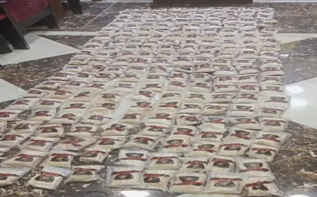 القوات المسلحة تحبط 4 محاولات لتهريب كميات كبيرة من المواد المخدرة