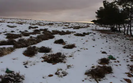 طقس الأردن.. فرصة لهطول زخات من الثلج فوق قمم الجبال العالية الثلاثاء