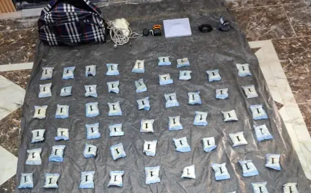 الجيش..إحباط تهريب مخدرات بواسطة بالونات موجهة بأجهزة إلكترونية