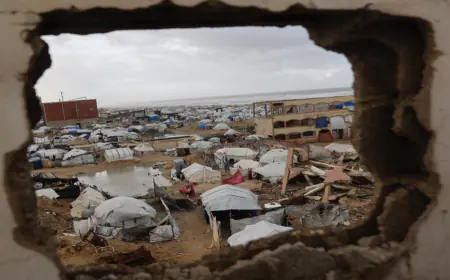 ترامب يعلن تشكيل مجلس السلام في غزة