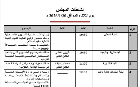 اللجان النيابية تواصل مناقشة قانون الغاز وتقارير مالية وإدارية