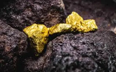 الصحراء السعودية تكشف كنزها الذهبي.. كم تخفي تحت الرمال؟