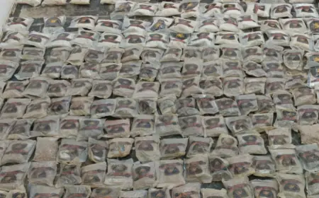 القضاة : لا تصنيع للمخدرات في الأردن