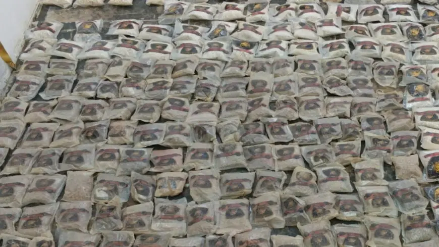 القضاة : لا تصنيع للمخدرات في الأردن