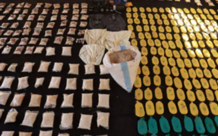 قبل وصولها للأردن.. ضبط ملايين الحبوب المخدرة وإسقاط شبكة تهريب في سوريا (صور)