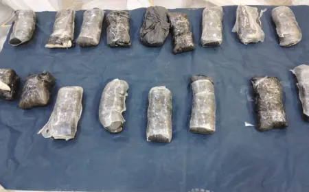 المنطقة العسكرية الشرقية...إحباط محاولتي تهريب مخدرات عبر بالونات إلكترونية