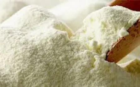 ضبط مستودع غير مرخص للحليب المجفف وإحالته إلى الادعاء العام