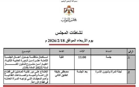 النواب يستكملون مناقشة مشروع قانون الغاز اعتبارا من المادة 19
