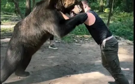 الملاكم محمودوف يصارع دبا استعدادا لنزاله المرتقب ضد فيوري (فيديو)