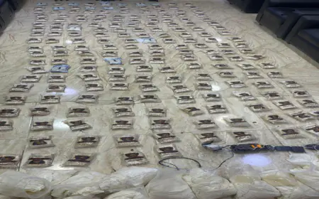 الجيش..إحباط محاولات تهريب مخدرات بواسطة بالونات