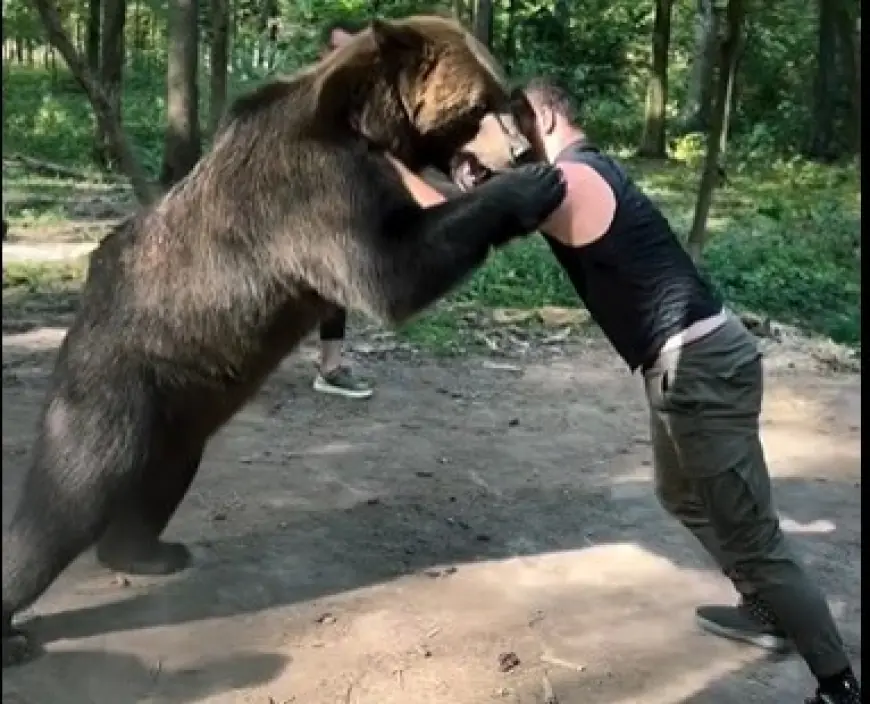 الملاكم محمودوف يصارع دبا استعدادا لنزاله المرتقب ضد فيوري (فيديو)