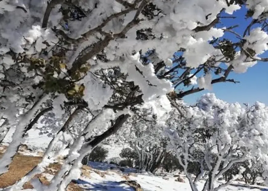  أجواء شديدة البرودة ليلا.. والأرصاد تحذر