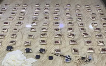 الجيش: إحباط محاولتي تهريب مخدرات  بواسطة بالونات