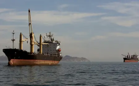 باريس: عشرات السفن الفرنسية عالقة في الخليج والبحر الأحمر