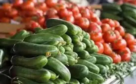 وزارة الزراعة : تعليق تصدير البندورة والخيار برا لمدة 10 أيام