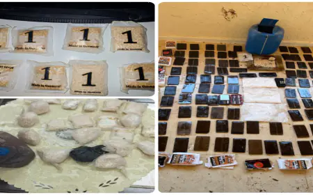 القبض على 23 متورطا بقضايا التهريب والتجارة والترويج للمخدرات بمداهمات وحملات أمنيّة