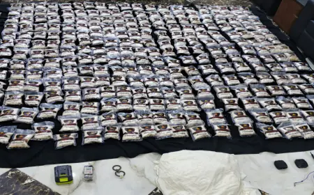 الجيش يحبط تهريب كمية كبيرة من المواد المخدرة بواسطة بالونات