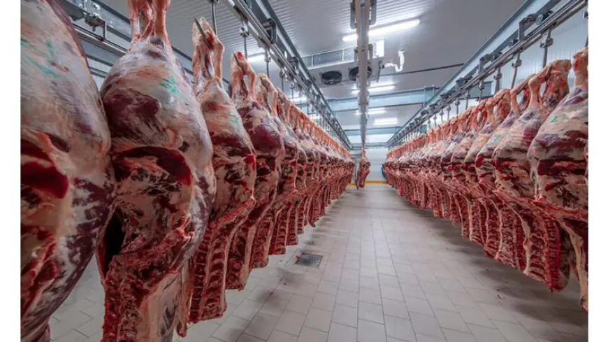 وزارة الزراعة: استئناف استيراد اللحوم من دمشق