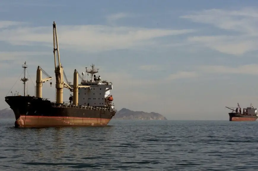 باريس: عشرات السفن الفرنسية عالقة في الخليج والبحر الأحمر