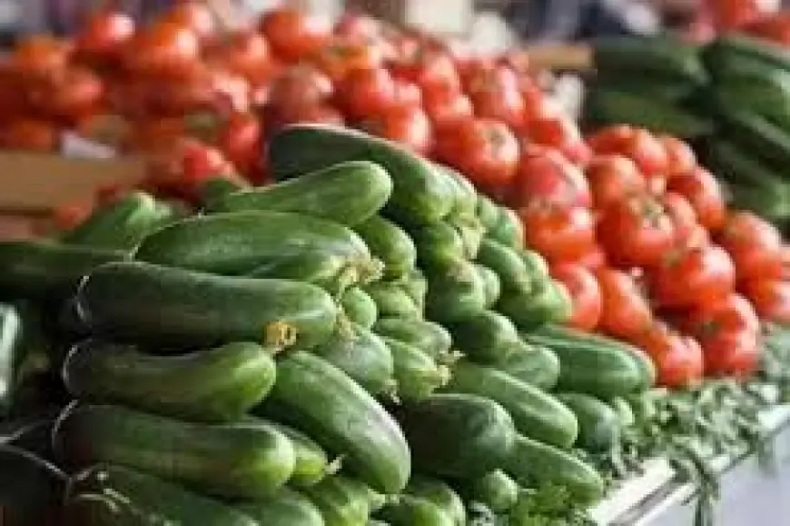 وزارة الزراعة : تعليق تصدير البندورة والخيار برا لمدة 10 أيام