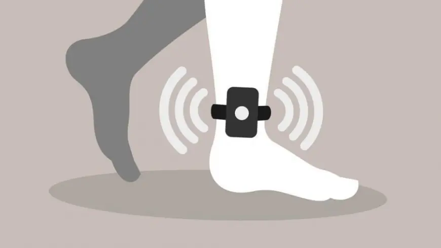 وزارة العدل: تطبيق عقوبة الإسوارة الإلكترونية على 29 حالة في شباط